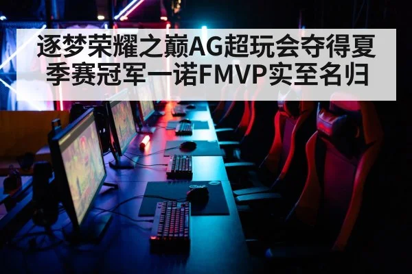 逐梦荣耀之巅AG超玩会夺得夏季赛冠军一诺FMVP实至名归