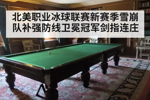 北美职业冰球联赛新赛季雪崩队补强防线卫冕冠军剑指连庄